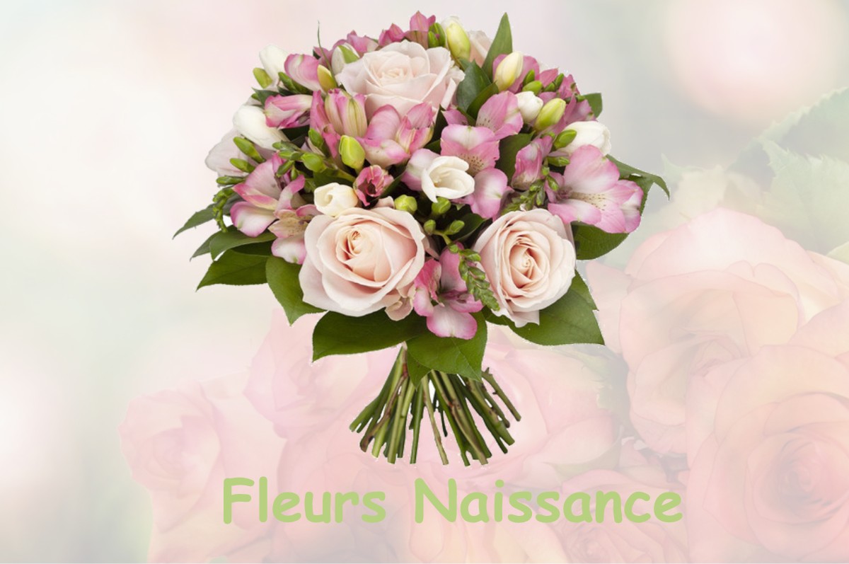 fleurs naissance SOMMEILLES