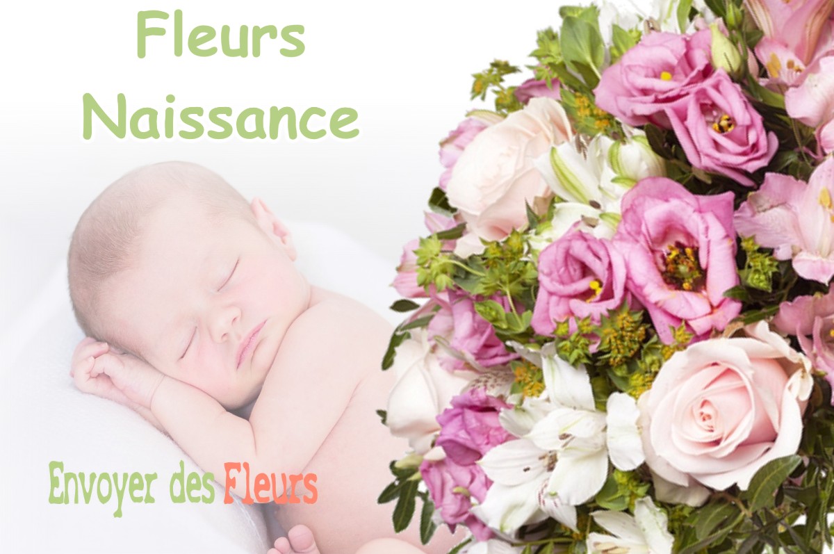 lIVRAISON FLEURS NAISSANCE à SOMMEILLES